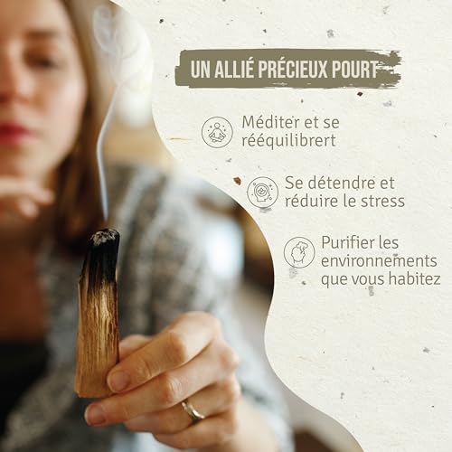 PALOSANTO - Palo Santo Batons Populaire Ayabaca - 13 Batons - Qualité Supérieure du Pérou - Encens Naturel - Idéal Purification, Protection Maison - Bois Naturel 100% Bursera Graveolens - Image 3