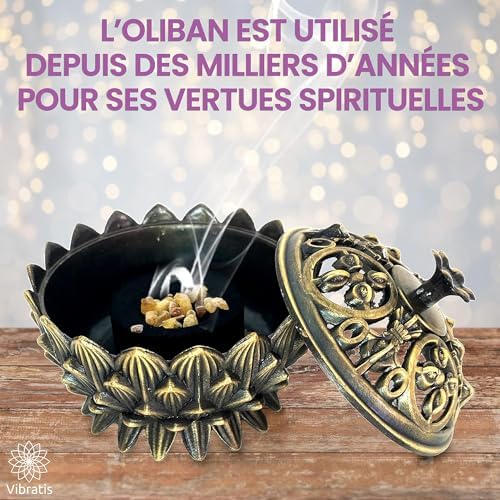 Coffret Encens Oliban Naturel – 100g d'Encens Boswellia Serrata, Encensoir et Pince en Acier Inoxydable – Idéal pour la Purification & Méditation (Encens Oliban 100g) - Image 3
