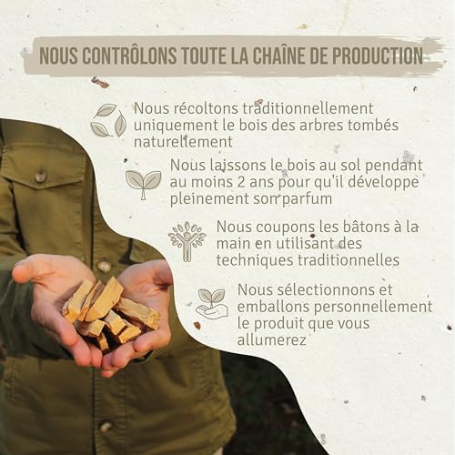 PALOSANTO - Palo Santo Batons Populaire Ayabaca - 13 Batons - Qualité Supérieure du Pérou - Encens Naturel - Idéal Purification, Protection Maison - Bois Naturel 100% Bursera Graveolens - Image 6