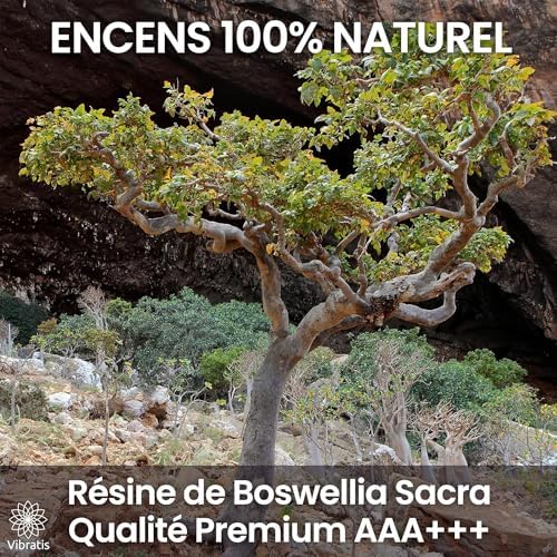 Coffret Encens Oliban Naturel – 100g d'Encens Boswellia Serrata, Encensoir et Pince en Acier Inoxydable – Idéal pour la Purification & Méditation (Encens Oliban 100g) - Image 8