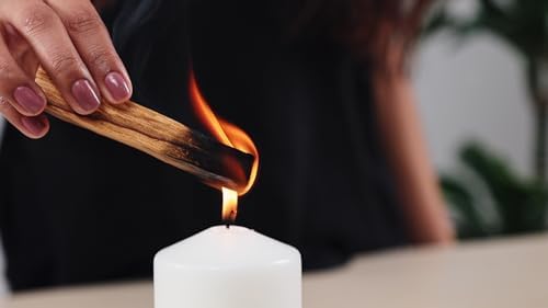 Salvia Blanca - Sauge Blanche Purification de Californie 10cm/25g | Encens Protection Naturelle | Bâton Sauge pour Purification Maison | Durable, 3 Bâtons Palo Santo + 2 Bâtonnets, Bois, Palo Santo - Image 2