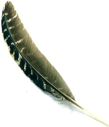 CRIGEMA - Kit Smudge Set – Sauge blanche et coquillage d'Abalone, avec trépied en bois de couleur naturelle et plume de taloche - Image 6
