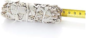 NKlaus 5X L Sauge Blanche Smudge Sticks 10cm Salvia apaina Fagot d'encens 6724 - Image 2