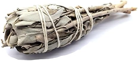 CRIGEMA - Kit Smudge Set – Sauge blanche et coquillage d'Abalone, avec trépied en bois de couleur naturelle et plume de taloche - Image 3