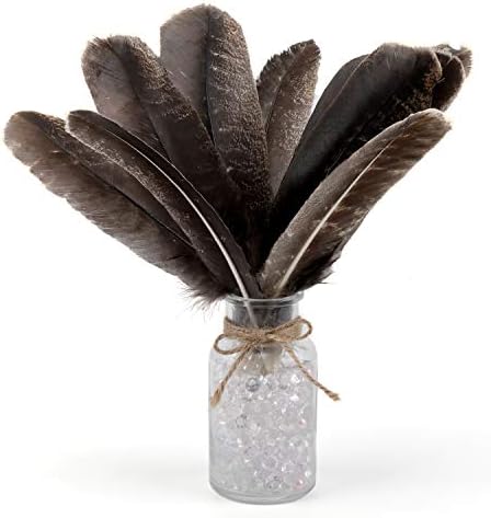 MWOOT 10 pièces Couleur Naturelle Plumes de Faisan, Idéal pour Costumes, Chapeaux, Décoration d'intérieur Fête Mariage Anniversaire (20-30 cm) - Image 6