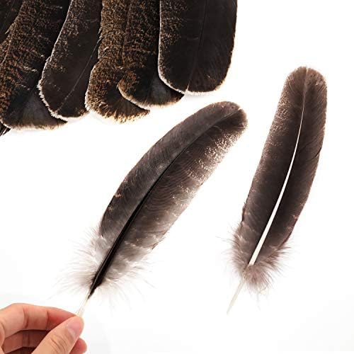 MWOOT 10 pièces Couleur Naturelle Plumes de Faisan, Idéal pour Costumes, Chapeaux, Décoration d'intérieur Fête Mariage Anniversaire (20-30 cm) - Image 4
