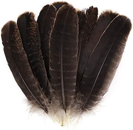 MWOOT 10 pièces Couleur Naturelle Plumes de Faisan, Idéal pour Costumes, Chapeaux, Décoration d'intérieur Fête Mariage Anniversaire (20-30 cm) - Image 3
