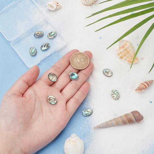Benecreat 10 PCS Cabochon Coquille d'Ormeau, Cabochons en Coquille de Paua Naturelle, Pièces de Monnaiie Ovales, Résultats pour la décoration Artisanale, Fabrication de Bijoux Bricolage, 14.5x10.5x3mm - Image 3
