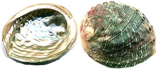 CRIGEMA - Kit Smudge Set – Sauge blanche et coquillage d'Abalone, avec trépied en bois de couleur naturelle et plume de taloche - Image 4