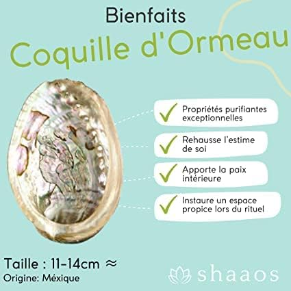 Sauge Blanche + Palo Santo + Coquille d'Ormeau │Bâton Sauge à Brûler Encens │Sauge de Californie Salvia Apiana | Qualité Supérieure Premium + Ebook Pratique - Image 4