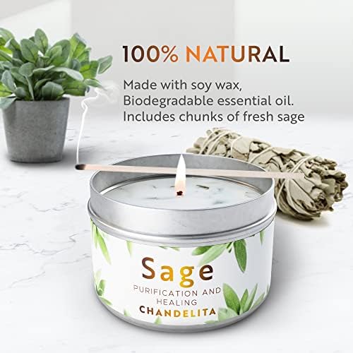 Chandelita Sauge Blanche Purification A Bruler en Deux Formats - Encens Sauge Blanche Purification - Sauge À Bruler - Baton De Sauge Blanche Purification A Bruler - avec Feuille De Sauge - Smudge - Image 5