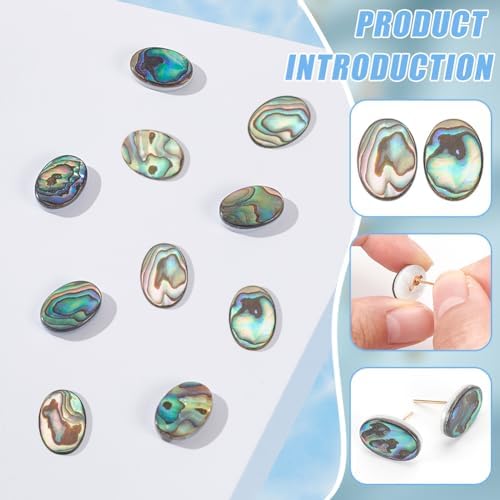 Benecreat 10 PCS Cabochon Coquille d'Ormeau, Cabochons en Coquille de Paua Naturelle, Pièces de Monnaiie Ovales, Résultats pour la décoration Artisanale, Fabrication de Bijoux Bricolage, 14.5x10.5x3mm - Image 4