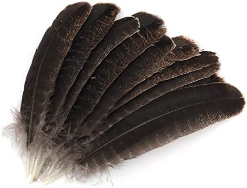 MWOOT 10 pièces Couleur Naturelle Plumes de Faisan, Idéal pour Costumes, Chapeaux, Décoration d'intérieur Fête Mariage Anniversaire (20-30 cm)