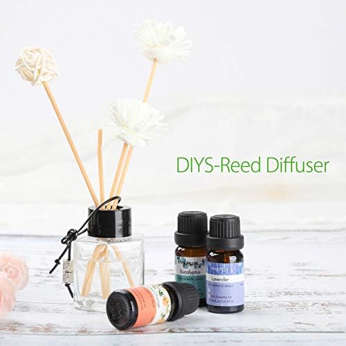 PHATOIL Kit Huiles Essentielles, Aromathérapie Huile Essentielle pour Diffuseur Pure Naturelle, Huile de Lavande, Eucalyptus, Menthe Poivrée, Tee Tree, Orange Douce, Citronnelle (6 x 10ML) - Image 6