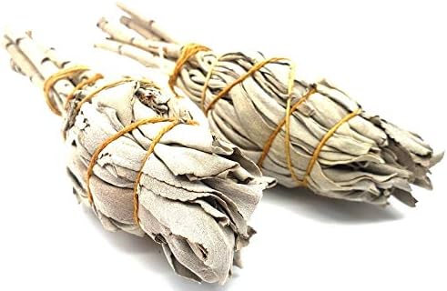 ESOTERRA SAUGE BLANCHE Californie Fagot 10cm - Lot de 2 Pièces - Salvia Apiana Purificatrice - Image 3
