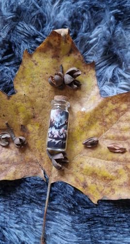 Coffret 3 Fioles de Potion pour Rituels - Sortilèges - Elixirs - Esotérisme - en Verre Imagées - Image 6