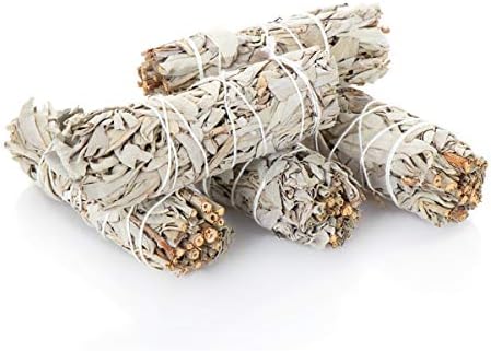 NKlaus 5X L Sauge Blanche Smudge Sticks 10cm Salvia apaina Fagot d'encens 6724