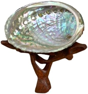 NessaStores Lot de 3 coquilles d'ormeau de 6,3 à 8,9 cm | Beau bol à estomper entièrement naturel – Parfait pour les bâtons de bavure, les bâtons d'encens et un kit de sauge JC-020 - Image 4