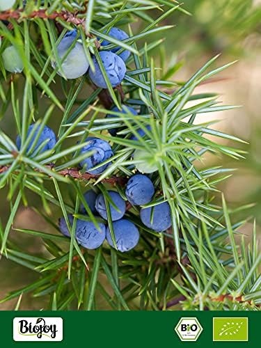 Biojoy Baies de Genièvre BIO (100 g), séchées et entières, Thé de Genévrier (Juniperus communis) - Image 7