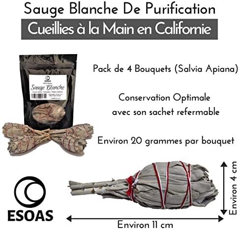 Sauge Blanche Purification A Brûler, 4X Bâtons de Salvia Apiana, Encens Naturel de Californie, Sauge Blanche. Idéale pour Rituel de Purification Maison et Chakras, Cérémonie Chamanique Amérindienne - Image 2