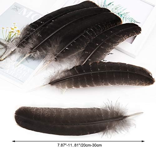 MWOOT 10 pièces Couleur Naturelle Plumes de Faisan, Idéal pour Costumes, Chapeaux, Décoration d'intérieur Fête Mariage Anniversaire (20-30 cm) - Image 2