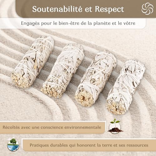 COPALOSANTO® | Paquets Faits à la Main de Sauge Blanche à brûler 10 cm | Sahumérium Naturel | Protection ancestrale et spirituelle | Nettoyage énergétique (6 Sauge Blanche) - Image 3