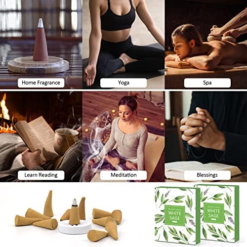 Scentorini Cônes d'Encens, assortiment Encens Cone 120pcs, Sauge Blanche Parfum Cons, AVEC Support de Blesons d'Ences - Image 2