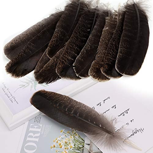MWOOT 10 pièces Couleur Naturelle Plumes de Faisan, Idéal pour Costumes, Chapeaux, Décoration d'intérieur Fête Mariage Anniversaire (20-30 cm) - Image 5