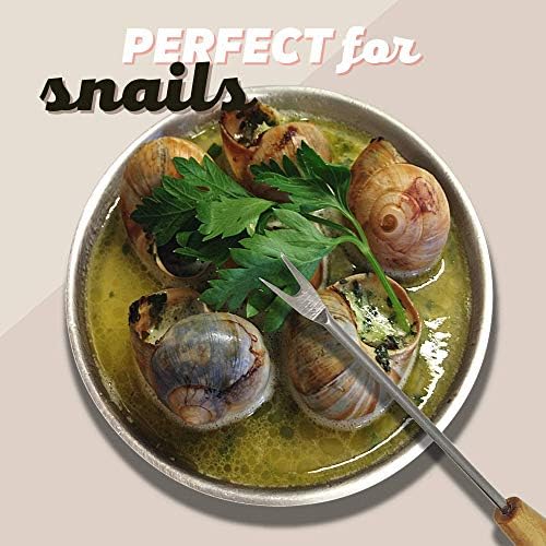 DOJA Barcelone | Fourchette à Escargots | Paquet 12 | Pic Métallique Réutilisable Avec Base En Bois | Ustensiles pour pic Apéritif, Verre à Cocktail, décoration, Entre Autres utilisations… - Image 4