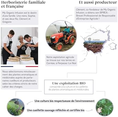 MON INFUSION BIO - Lavande Bio En Fleurs Entières - Pour Tisanes Et Infusions - Pour Recettes Maisons - Sublimez Votre Thé - Sélection De Premier Choix - Lavandula Angustifolia - 50 g - Image 6