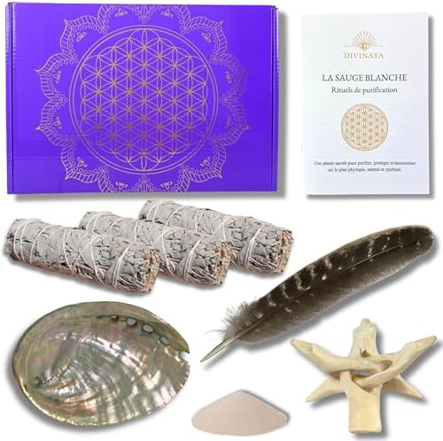 DIVINAYA Coffret 3 bâtons de Sauge Blanche à bruler, 1 Coquille d'Ormeau, 1 Plume, 1 Trépied, Sable et 1 Livret Rituels de Purification, Maison, Méditation. Qualité Premium. Cadeau Spirituel et Zen.