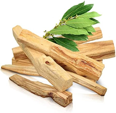 Bois de Palo Santo XL 50gr. (4-6 pc) Bois Naturel d'Amérique du Sud pour la Purification et la Relaxation