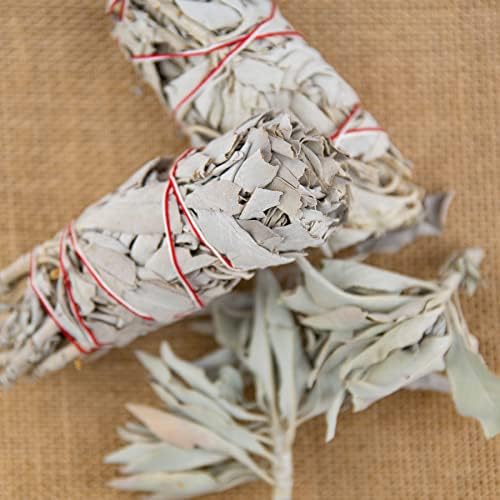 Batonnets de Sauge Blanche par Esprit indigène - Batons / Empaqueter / Ballot / Encens White Sage 2 x Small Smudge 4-4.5 '' (10-12cm ~ 30-35gr.) | CET emballage est 100% biodégradable (5) (2) - Image 5