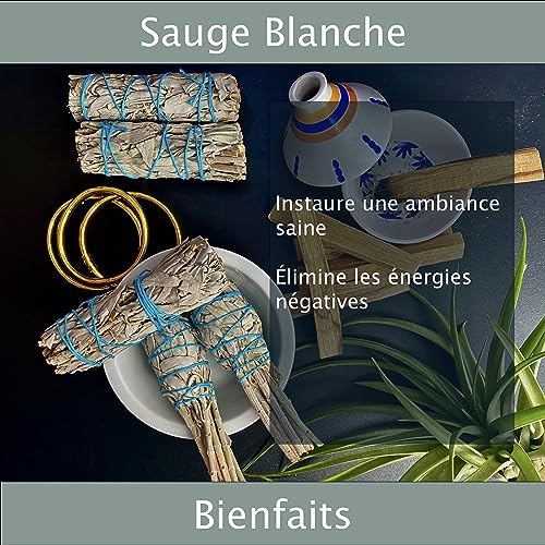 Sauges Blanches Purification à bruler│Coffret Sauge Blanche Salvia Apiana amérindienne│Encens Naturel méditation│ Bougie et Bois de rituels│Odeur Bien être (x3 Sauges) - Image 5
