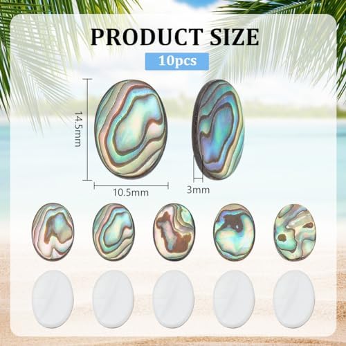 Benecreat 10 PCS Cabochon Coquille d'Ormeau, Cabochons en Coquille de Paua Naturelle, Pièces de Monnaiie Ovales, Résultats pour la décoration Artisanale, Fabrication de Bijoux Bricolage, 14.5x10.5x3mm - Image 2