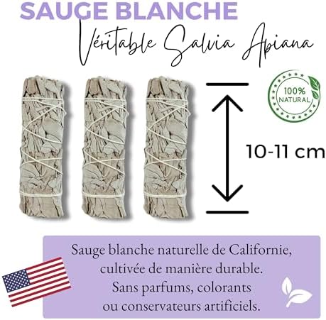 DIVINAYA Coffret 3 bâtons de Sauge Blanche à bruler, 1 Coquille d'Ormeau, 1 Plume, 1 Trépied, Sable et 1 Livret Rituels de Purification, Maison, Méditation. Qualité Premium. Cadeau Spirituel et Zen. - Image 4