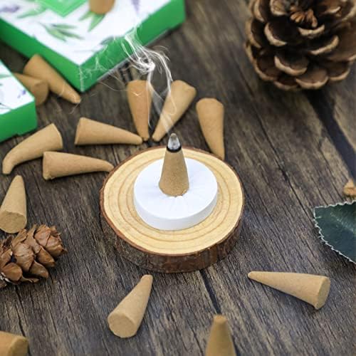 Scentorini Cônes d'Encens, assortiment Encens Cone 120pcs, Sauge Blanche Parfum Cons, AVEC Support de Blesons d'Ences - Image 6