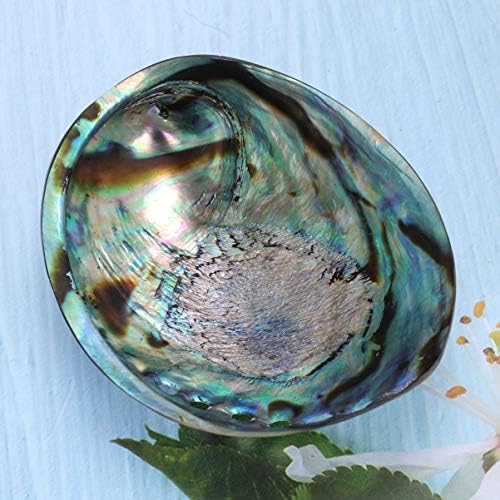BESPORTBLE Coquille D'ormeau Polie Naturelle pour Le Maculage Le Nettoyage de L'encens Brûlant Le Parfum de La Maison La Compensation D'énergie Yoga 10-12 Cm - Image 4