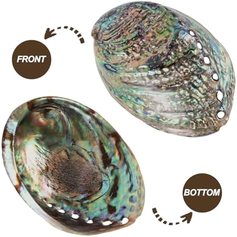 BESPORTBLE Coquille D'ormeau Polie Naturelle pour Le Maculage Le Nettoyage de L'encens Brûlant Le Parfum de La Maison La Compensation D'énergie Yoga 10-12 Cm - Image 7