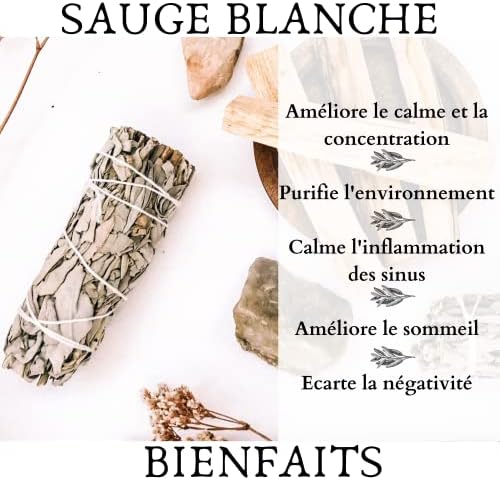 Coffret 2 Bâtons Sauge Blanche Purification à Bruler Coquille Ormeau | 2 Torches de Sauge | 2 bâtonnets Palo Santo (Bois de Santal)|Trépied | Encens Naturel 100%-Ebook l'art de la Fumigation(PDF) - Image 4