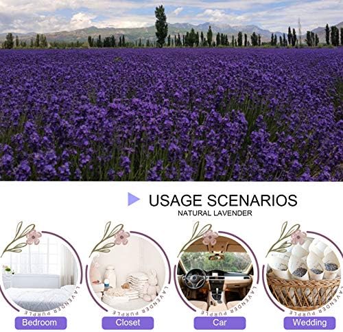 CoolCrafts Lavande Séchée Naturel 225g Fleurs de Lavande Odorante Bourgeons de Lavande pour Sachets de Lavande - Image 4