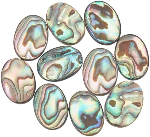 Benecreat 10 PCS Cabochon Coquille d'Ormeau, Cabochons en Coquille de Paua Naturelle, Pièces de Monnaiie Ovales, Résultats pour la décoration Artisanale, Fabrication de Bijoux Bricolage, 14.5x10.5x3mm