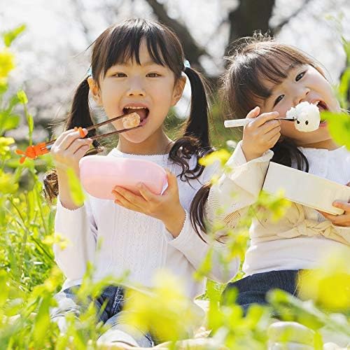 Totken 2 paires de baguettes d'apprentissage en bois pour enfants/débutants gauchers ou droitiers - avec boîte portable - Image 4