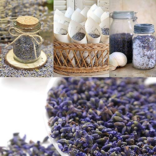 CoolCrafts Lavande Séchée Naturel 225g Fleurs de Lavande Odorante Bourgeons de Lavande pour Sachets de Lavande - Image 6