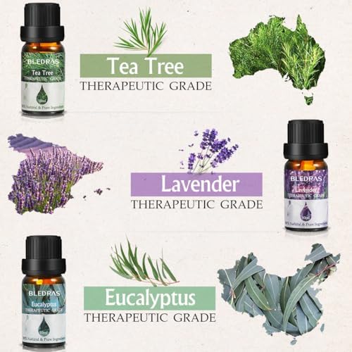 Coffret Huiles Essentielles Naturelles 6x10ml- bledras aromathérapie 100% pure, bio - lavande, théier, eucalyptus, citronnelle, orange douce, menthe - Cadeau Femmes - Image 2