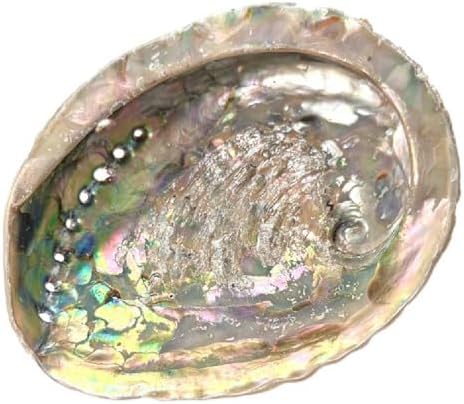 Coquille d'ormeau Naturel Grande 12-15 cm. INKANAT