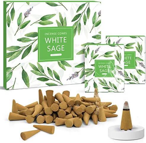 Scentorini Cônes d'Encens, assortiment Encens Cone 120pcs, Sauge Blanche Parfum Cons, AVEC Support de Blesons d'Ences