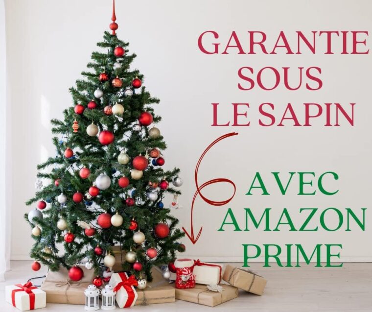 Coffret 2 Bâtons Sauge Blanche Purification à Bruler Coquille Ormeau | 2 Torches de Sauge | 2 bâtonnets Palo Santo (Bois de Santal)|Trépied | Encens Naturel 100%-Ebook l'art de la Fumigation(PDF) - Image 3