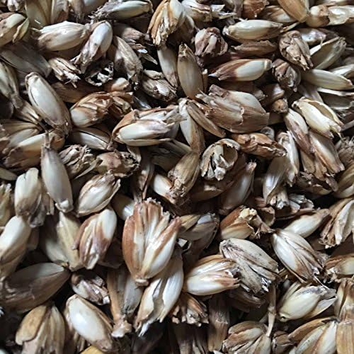 Épeautre bio pour remplissage de coussin à partir de 1 kg jusqu'à 30 kg – Les grains d'épeautre sont nettoyés et dépoussiérés - Image 6