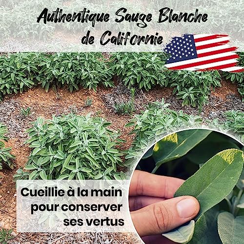 Vibratis Sauge Blanche De Purification 2 Bâtons d'Encens de Sauge À Brûler + Coquille d'Ormeau + E-Book - Élimine Les Énergies Négatives(𝗦𝗮𝘁𝗶𝘀𝗳𝗮𝗶𝘁 𝗼𝘂 𝗥𝗲𝗺𝗯𝗼𝘂𝗿𝘀𝗲) - Image 2